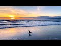 [4K] Sunset at Venice Beach in Los Angeles, California USA Walking Tour 🎧 Relaxing Beach Waves