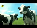 FUNNY COW DANCE 4 │ Cow Song & Cow Videos 2024