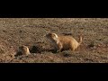 BADLANDS 4K I (Visually Stunning 3min Tour)