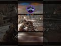 Total Sync #forhonor #funnygaming #forhonorcommunity #fightinggames #fightinggame