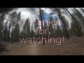 Corral Jumpline, South Lake Tahoe Mountain Biking