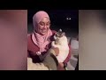 Compilation New Funniest Cat Videos 😹 You laugh You Lose 🤣 Best of Funny Cat Videos 😂 #7