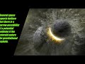 End of the world in 2021? asteroid hit a rise of hybrid soldiers  predictions l BE S1 E18 l 66 Space