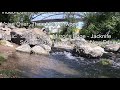 7 Year of Eco-Restoration - Mackay Creek/Estuary Restoration