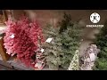 Beautiful Different Christmas Itens Everything You Need In the UK 🇬🇧 2022 AnsaShoaib Vlogs 🥰❤️💯