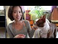 【Vlog】念願の愛犬と一緒にお仕事の日🐶モデルしてる愛犬に悶絶する親バカの様子 笑