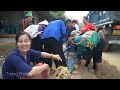 Harvest small bamboo shoots and sell them at the market - Take care of the pet | Tương Thị Mai