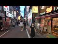 4K・ Tokyo Shinjuku night walk - Big cat・4K HDR