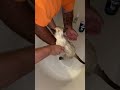 Cat life￼: Tigger does not like baths