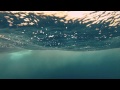 GoPro: Director's Cut - Shark Riders