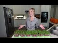 Radish Microgreens: Paper Towels vs. Reusable Mediums Experiment