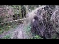ripping around the woods 88KX500