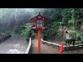 【4K】 Walking in the Todoroki Valley in the rain | Tokyo, Japan