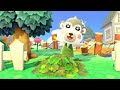 Shari's Garden Paradise Speedbuild // animal crossing new horizons happy home paradise