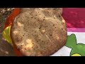 طريقة صوب خبزة في البادية 🥖