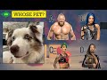 WWE QUIZ - Can You Guess All Superstars NAME by Their NEW PET Part 2 | Only for Real WWE Fans!