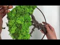 MACRAME TREE WITH MOSS / Step by Step Tutorial / Macrame Tree Tutorial