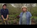 Martha Stewart on creating a rose garden