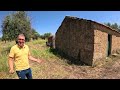 LAKE SIDE OLIVE FARM FOR SALE 5HA  - CHEAP TOURISM RENTAL PROPERTY INVESTMENT CENTRAL PORTUGAL