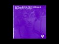 Skylander & Tony Irrmani - Midnight Flower (Extended Mix)