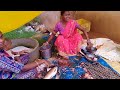 Lathor market Jima chala ll New sambalpuri vlogs ll #labaofficialvlogs