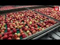 Automatic Food Factory | How Ready to Eat Food Is Made