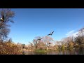 Sacramento View: Southside Park Lake – Winter 2019