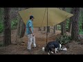 CAMPING in Heavy RAIN STORM with Dog - ASMR