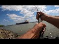 Catching A Bull Shark In The Mississippi River