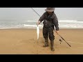 Chased A Stripers  From San Luis Obispo Co, Beach