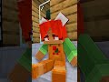 BEST Of Berry and Silverx - Minecraft Shorts Compilation