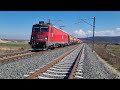 Trenuri în / Trains in Simeria