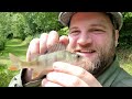 Green Tench and Ham - Lift Method Tench Fishing