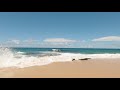 [4K] Secrets Beach, Kauai Hawaii | Virtual Walking Tour | Relaxing Travel Simulator