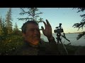 Peregrine Falcons at the Lower Kolyma, Siberia