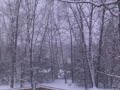 Nice gentle Snowfall.1/16/13