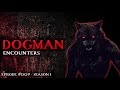 19 DOGMAN ENCOUNTER STORIES - SCARY STORIES 2021