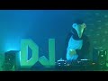 Party, house, EDM, club remixes #6 mix / set by DJ Stan Del Noto
