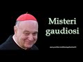 Mons. Angelo Comastri – Misteri gaudiosi del Santo Rosario