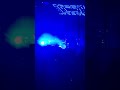 Deftones - Bloody Cape Live Portland, OR 2022