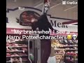 My brain when I see Harry Potter characters