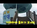 비가 내려요! 그래도 좋은 수국꽃 명소 [곡강 느러지 전망대] 낭만의 꽃길 #느러지전망대 #수국꽃 #산수국 #느러지 자전거 인증센터