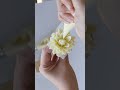 How to pipe buttercream Dahlia 'Cameo' (preview)