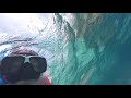 Snorkelling In Maldives 2019 (Triggerfish)