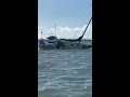 Sinking in Townsville duckpond