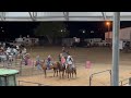Taylor and Tiger’s Pole Bending Run FBCYRA Aug Rodeo
