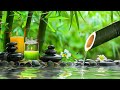 Healing Music for Stress Relief, Calm Music for Meditation, Sleep, Relax, Healing Therapy, Nature