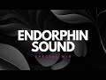 Dj Bunia - Special Mix For ENDORPHIN SOUND | Minimal House & Tech House 2024