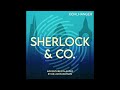 Sherlock & co QnA with Joel emery