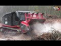 Extreme Dangerous Fastest Big Chainsaw Cutting Tree Machines | Biggest Heavy Equipment Machines #11